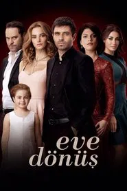 Torn Apart tv show poster