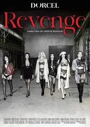 Poster do filme Revenge