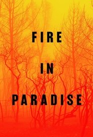 Fire in Paradise movie poster
