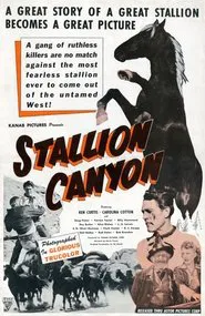 Stallion Canyon movie poster