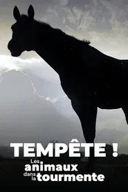 Poster do filme Der Sturm - Tiere bei Blitz und Donner