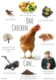Permaculture Chickens movie poster