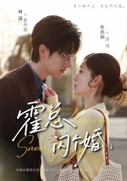 霍总，闪个婚 tv show poster