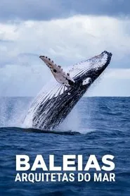 Poster do filme Baleias: Arquitetas do Mar
