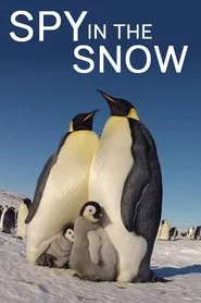 Poster do filme Spy in the Snow