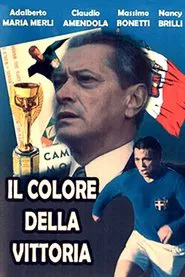 Il colore della vittoria movie poster