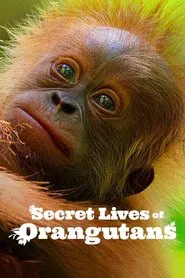 Secret Lives of Orangutans movie poster