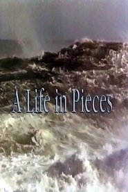 A Life In Pieces tv show poster