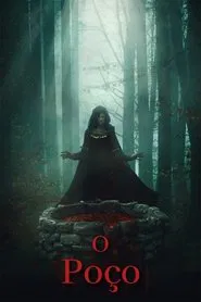 Poster do filme O Poço