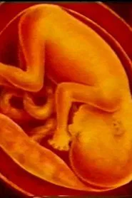 Opus Incertum movie poster