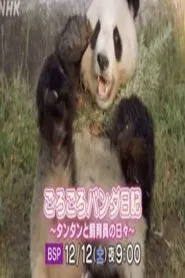 ごろごろパンダ日記 tv show poster