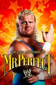 The Life and Times of Mr. Perfect movie poster