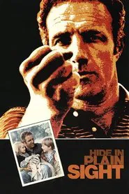 Hide in Plain Sight movie poster