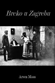 Brcko in Zagreb movie poster