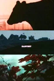 Harvest movie poster