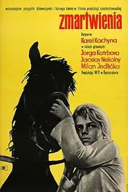 Poster do filme Suffering