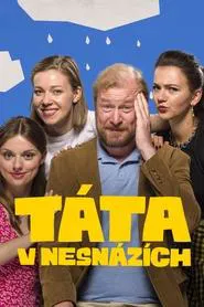 Táta v nesnázích tv show poster