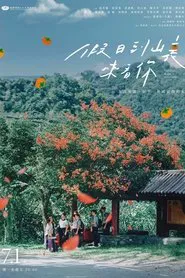 Holidays in the Mountains tv show poster