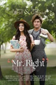 Mr. Right movie poster