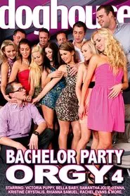 Bachelor Party Orgy 4 movie poster