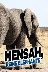 Elephant Queen movie poster
