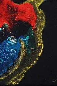 Intransit movie poster