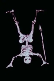 Magic Lanterns movie poster