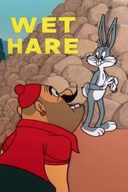 Poster do filme Wet Hare