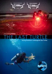 The Last Turtle movie poster