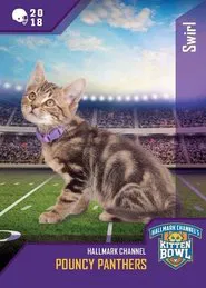 Kitten Bowl VIII Special movie poster