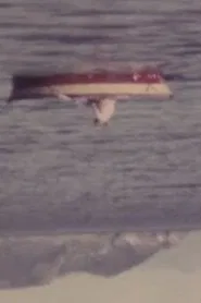 Verso/Inversus movie poster