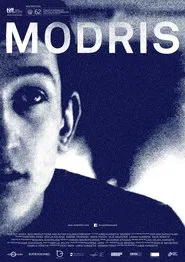 Modris movie poster