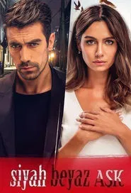 Price Of Passion tv show poster