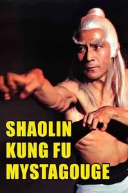 Shaolin Kung-Fu Mystagogue movie poster