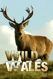 Wild Wales tv show poster