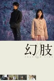 Phantom Limb movie poster