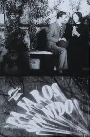 Poster do filme Pájaros sin nido