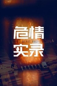 危情实录 tv show poster