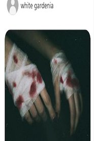 Knight In Service To Her Majestys Bloodied Knees movie poster