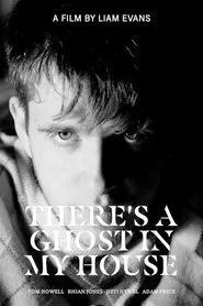 There's A Ghost In My House movie poster