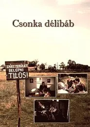 Csonka délibáb movie poster