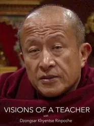 Visions of a Teacher movie poster