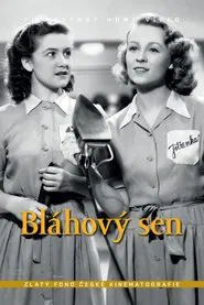 Poster do filme Bláhový sen