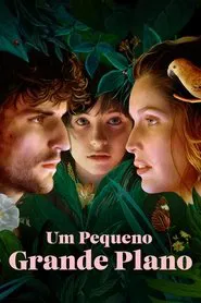 Poster do filme Um Pequeno Grande Plano