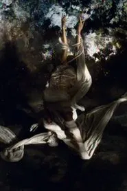 Poster do filme La festa delle rose