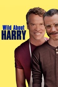 Wild About Harry movie poster