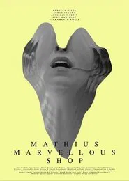 Mathius Marvellous Shop movie poster