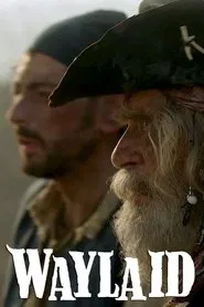 Poster do filme Waylaid