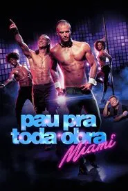 Poster do filme Pau pra Toda Obra: Miami
