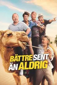 Bättre sent än aldrig tv show poster